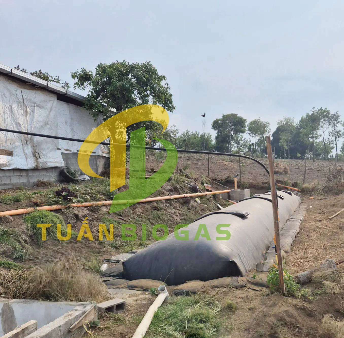 BÍ QUYẾT BẢO VỆ TÚI BIOGAS: TẦM QUAN TRỌNG CỦA MẶT BÍCH CHUYÊN DỤNG VÀ VAN TỰ XẢ